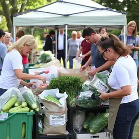 trocar recicláveis por hortifrútis