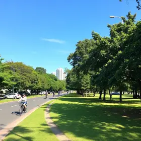 Dia mundial sem carro: roteiro de bike por parques de Curitiba Dia Mundial Sem Carro